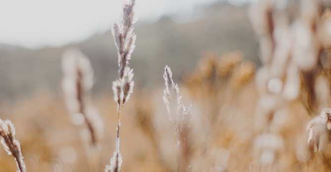 Free Initial Consultation