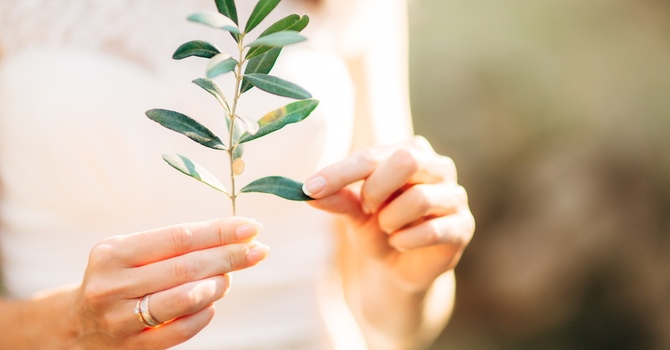 Cosmetic Private Session