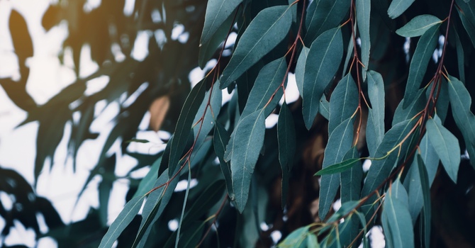 Initial Private Assessment & Treatment