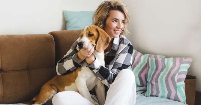 Cupping Private Session