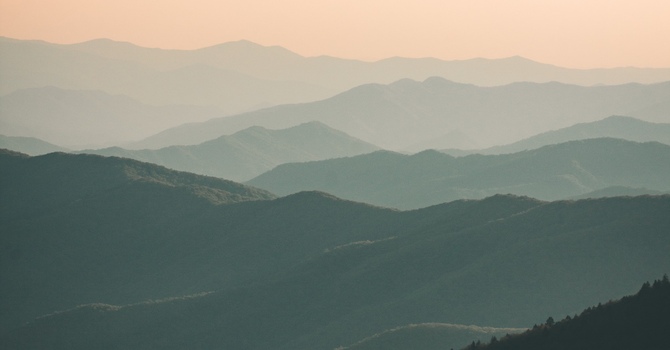 Facial Cupping/Gua Sha Private Session